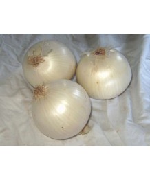 Cebolla Blanca 1kg