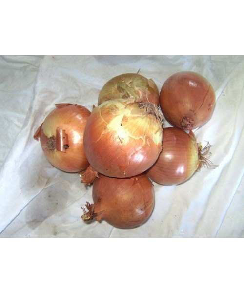 Cebolla Calibre Grande 5kg