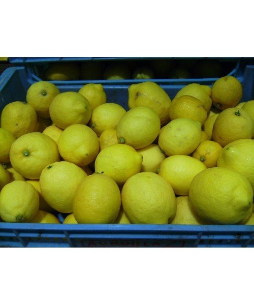 Limón 1kg