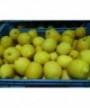Limón 5kg