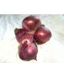 Cebolla Morada 1kg