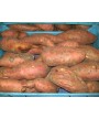Boniato Rojo 1 kg