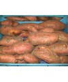 Boniato Rojo 1 kg
