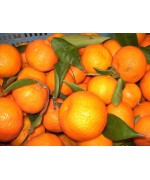 Naranja Clementina 1kg