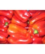 Pimiento Rojo 0,5kg