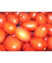 Tomate Pera 1kg
