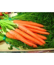 Zanahoria 0,5kg