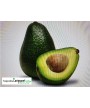 Aguacate 1kg