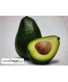 Aguacate 1kg