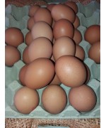 Huevos (docena)
