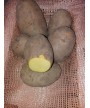 Patata Agria 5kg