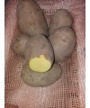 Patata Agria 5kg