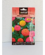 ZINNIA LILIPUT VARIADA POM POM