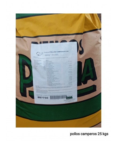 POLLOS CAMPEROS (25KG)