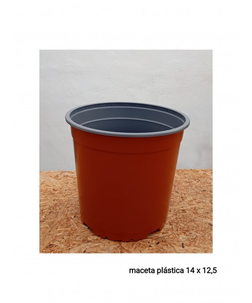 MACETERO PLASTICO (14 X 12.50 CM)